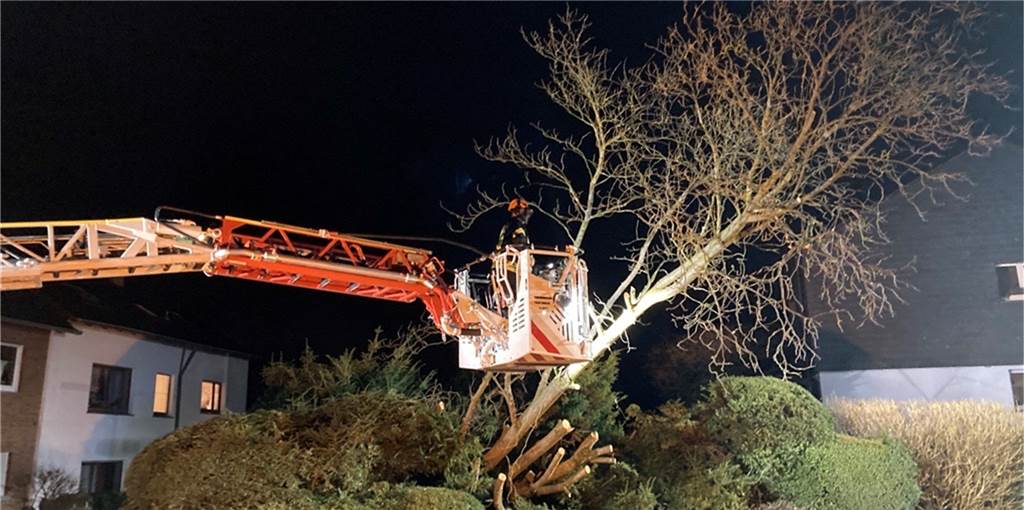 Sturm „Zeynep“ in Schwerte: Baum kippt auf Auto – Feuerwehr im Dauereinsatz Sturm „Zeynep“ in Schwerte: Baum kippt auf Auto – Feuerwehr im Dauereinsatz