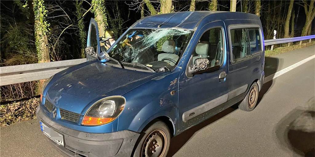Bäume auf Autos gekippt: Feuerwehr Schwerte verzeichnet 38 Sturmeinsätze Ein Feuerwehrmann hilft dem Fahrer aus seinem Wagen. Ein herabstürzender Baum hatte das Fahrzeug beschädigt. Der Fahrer wurde verletzt.