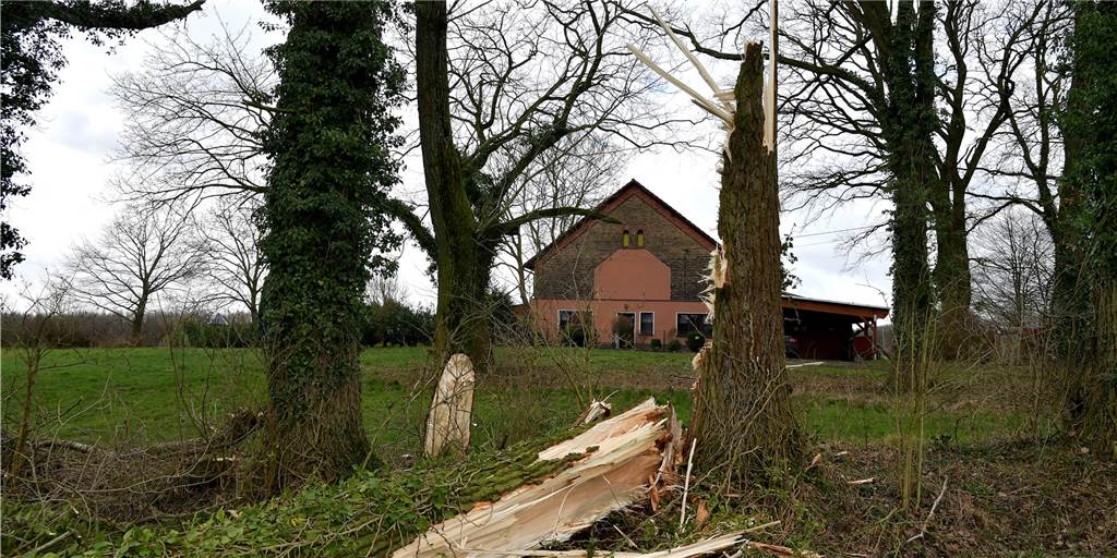 Der Sturm hat auch im Bereich Hassel/Cappenberg Bäume gespalten.