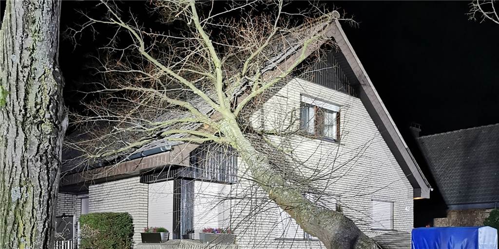 Neues Tief Antonia im Anflug - ruhige Nacht zu Sonntag für Feuerwehren Einer der größeren Einsätze der Selmer Feuerwehr in der Nacht zu Samstag: Ein Baum war auf ein Haus gestürzt. In der Folgenacht zu Sonntag (20.2.) blieb es hingegen ruhig.