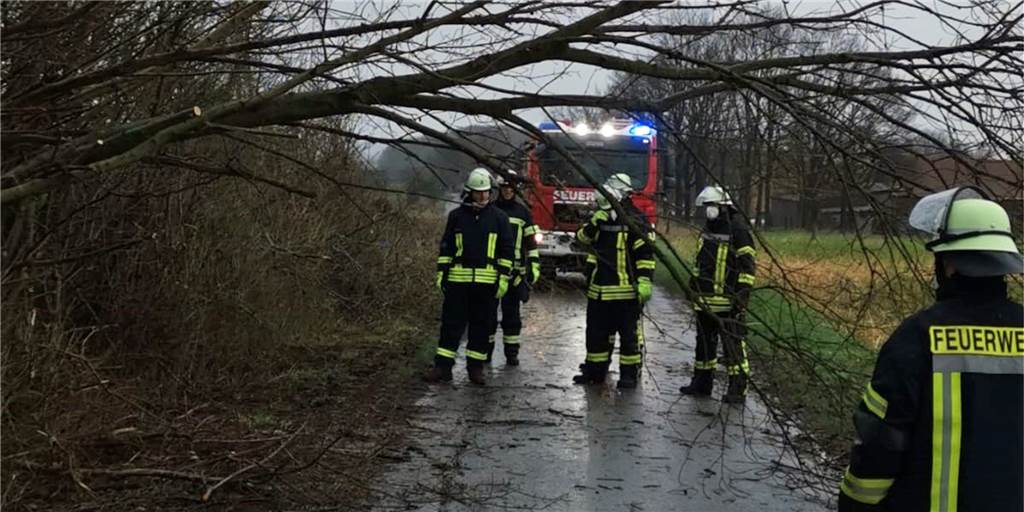 „Habe ich noch nie erlebt“: Feuerwehr Ascheberg zieht Sturm-Bilanz Die Feuerwehr Ascheberg musste aufgrund der Stürme mehrmals wegen umgefallener Bäume oder abgebrochener Äste ausrücken.