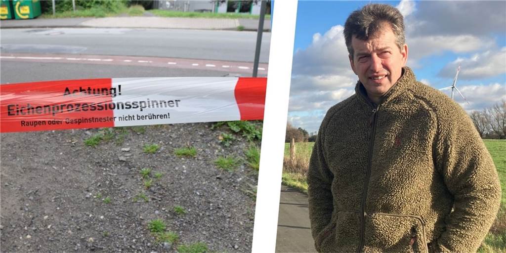 So geht der Streit um Raupen-Nester für Waldbesitzer Dieter Kuhne aus Vor dem Verwaltungsgericht Gelsenkirchen landete der Streit um Nester des Eichenprozessionsspinners im Wald von Dieter Kuhne in Beckinghausen. Jetzt gibt es eine neue Entwicklung.