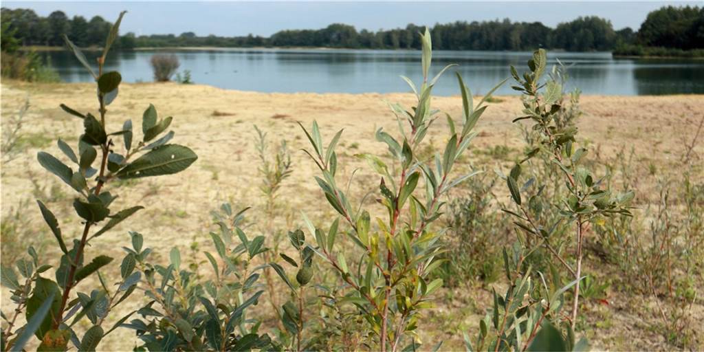 Erste Meilensteine für naturnahen Tourismus im Strönfeld gelegt Das Heeker Strönfeld hat gerade im Sommer eine magische Anziehungskraft und verströmt so etwas wie Karibikflair.