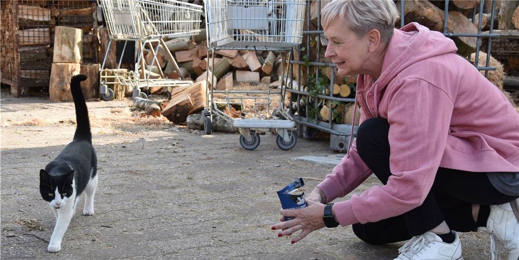 Erste Hilfe am Tier: Conny Sander plant Unterricht an Dorstener Grundschulen Conny Sander Streunerkatzenprojekt.