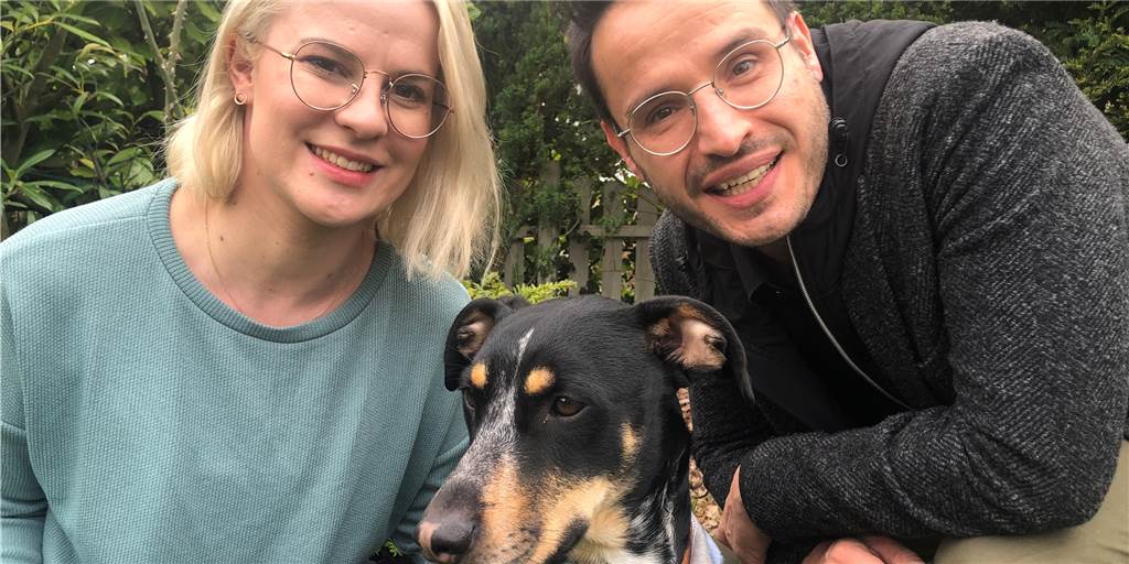 Corona macht Esther (31) und Daniel (41) zu Hunde-Eltern: „Freuen uns jeden Tag“ Merlin macht seinen Besitzern Esther Kolar und Daniel Sprint viel Freude.