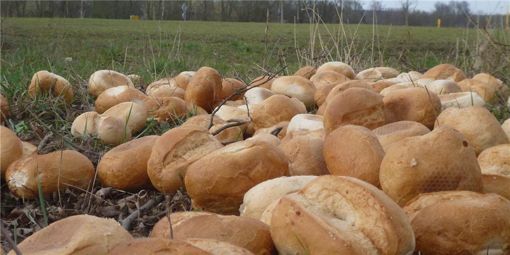 Haufenweise Brötchen in der Natur entsorgt: Serie reißt nicht ab – von Tätern keine Spur Haufenweise Brötchen in der Natur entsorgt: Serie reißt nicht ab – von Tätern keine Spur