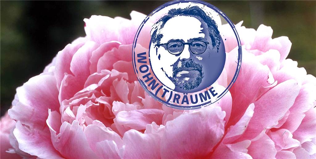 Gartenzeit beginnt: Geht mir bloß weg mit Nelken, Rosen und Narzissen Pfingstrosen ziehen die Blicke auf sich: Je nach Sorte können die Blüten einen Durchmesser von bis zu 15 Zentimeter haben. Und sind dem Verfasser viel viel lieber als die eigentliche Rose.