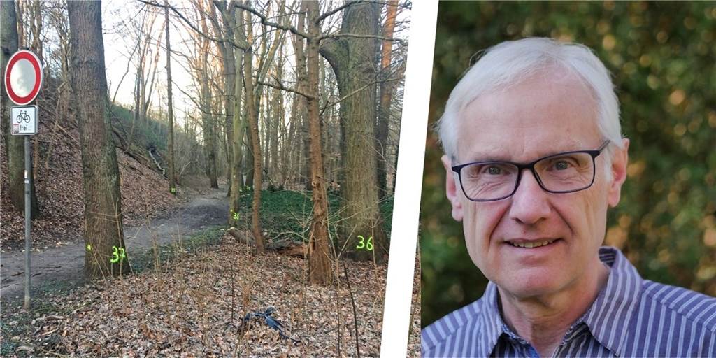 Herbert Hamann besorgt: Will Lünen 37 große Bäume für IGA-Radweg opfern? 37 nummerierte Bäume sind Herbert Hamann im Waldstück Schwansbell aufgefallen. Er fürchtet, dass sie für den neuen IGA-Radweg gefällt werden sollen.