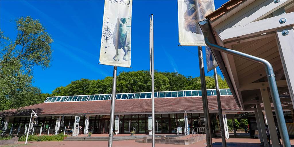 Weltkriegs-Bombe am Dortmunder Zoo gefunden – erfolgreiche Entschärfung Weltkriegs-Bombe am Dortmunder Zoo gefunden – erfolgreiche Entschärfung