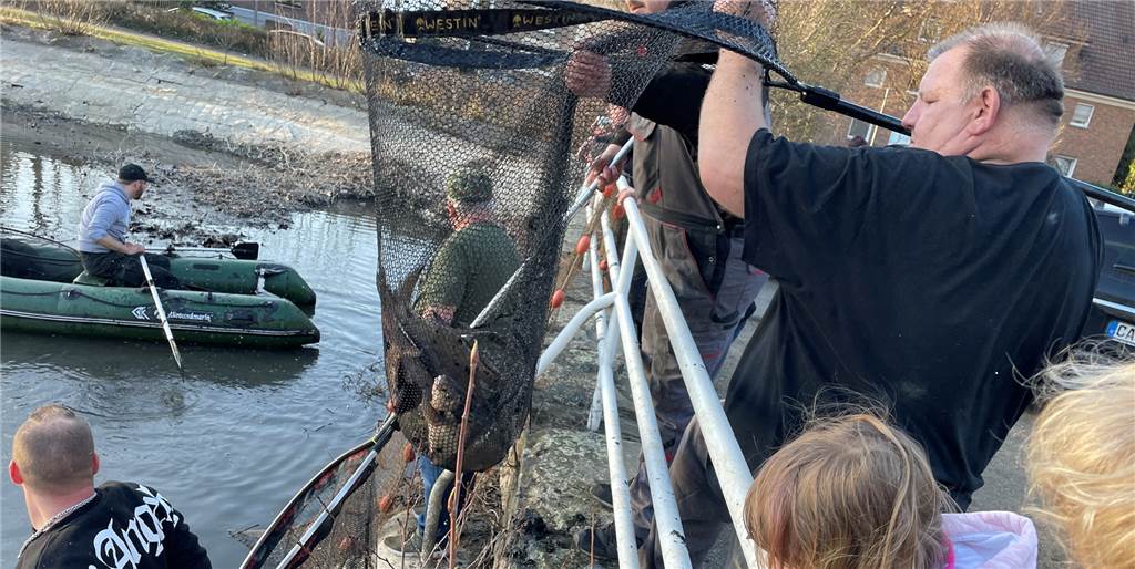 Video: Angler retten Fische aus dem Gondelteich im Castroper Stadtgarten Angler aus dem Verein DoCas-Blinker holten am Freitag Hunderte Fische aus dem Gondelteich im Castroper Stadtgarten.
