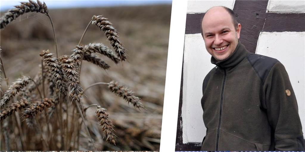 Lüner Landwirt hat das so noch nie erlebt: „Kunde bittet um Weizen“ Mehl und Sonnenblumenöl ist knapp zurzeit. Bio-Landwirt Vitus Schulze Wethmar hat das noch nie erlebt: Kunden bitten um Weizen und freuen sich, wenn sie etwas bekommen.