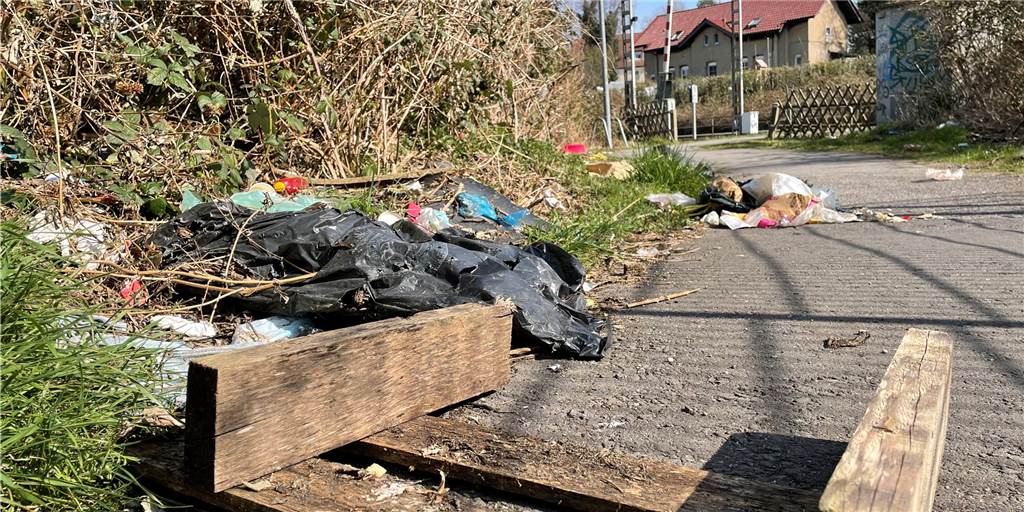 Müll an einem Dortmunder Bahnhof: Bahn hielt ihr Versprechen nicht Immer noch ist der Weg zum Bahnhof zugemüllt. Es ist gar verdreckter als Anfang März. Dabei wollte die Bahn eigentlich sauber machen.