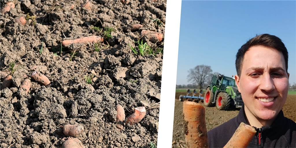 Möhren in Lünen nicht geerntet - Landwirt erklärt ungewöhnliche Aktion Auf einem Lüner Feld lagen seit Langem Möhren, die eigentlich schon längst hätten geerntet werden sollen. Hier zu sehen: Elias Breimann vom Möhren-Unternehmen Abenhardt.