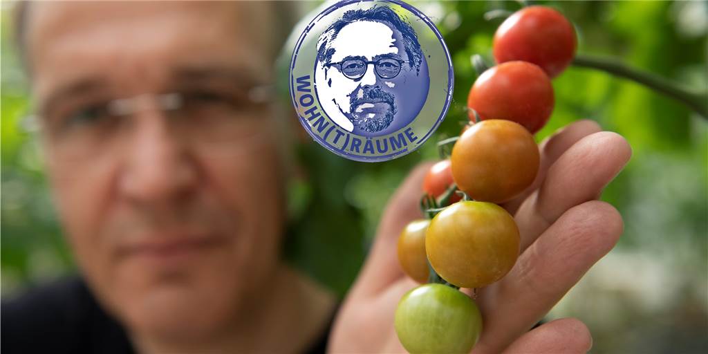 Selbstversorgung ist angesagt: Tomaten laufen dem Zierrasen den Rang ab Der Nutzanteil des eigenen Gartens wird für immer mehr Menschen immer bedeutender. Wo früher nur Zierde angesagt war, ist heute der Versorgungs-Aspekt viel wichtiger geworden.