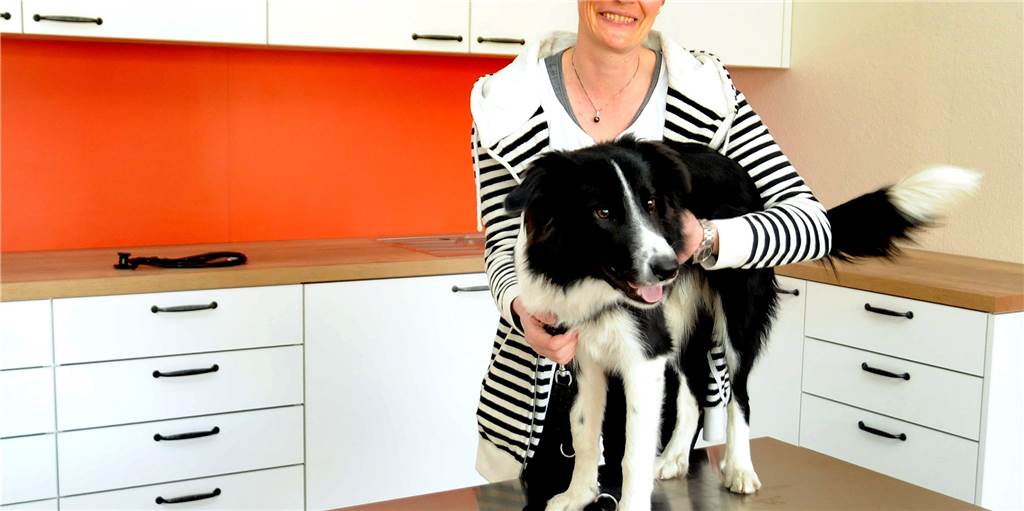 Eine neue Tierarztpraxis eröffnet Dr. Claudia Fischer (45) in Schwerte. Ihre junge Border-Collie-Hündin Siggi darf den frisch eingerichteten Behandlungsraum schon einmal testen.