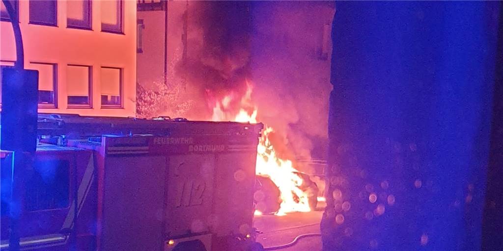 Autos in Flammen: Brandstiftung verursacht Schaden von 100.000 Euro Autos in Flammen: Brandstiftung verursacht Schaden von 100.000 Euro