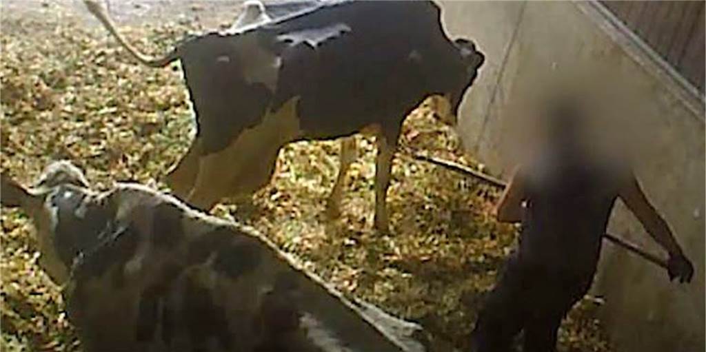 Tierschutz-Skandale Prott und Mecke im Kreis Unna: Ermittlungen laufen weiter Tierschutz-Skandale Prott und Mecke im Kreis Unna: Ermittlungen laufen weiter