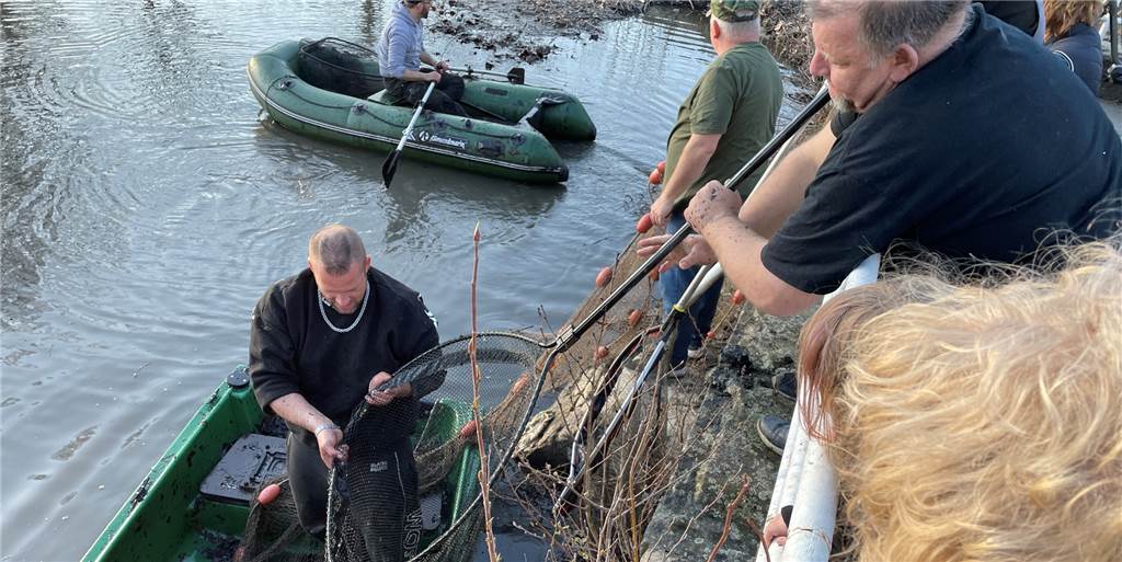 EUV: Es bestand keine Gefahr für die Fische im Gondelteich Angler aus dem Verein DoCas-Blinker holten Mitte März Hunderte Fische aus dem Gondelteich im Castroper Stadtgarten.