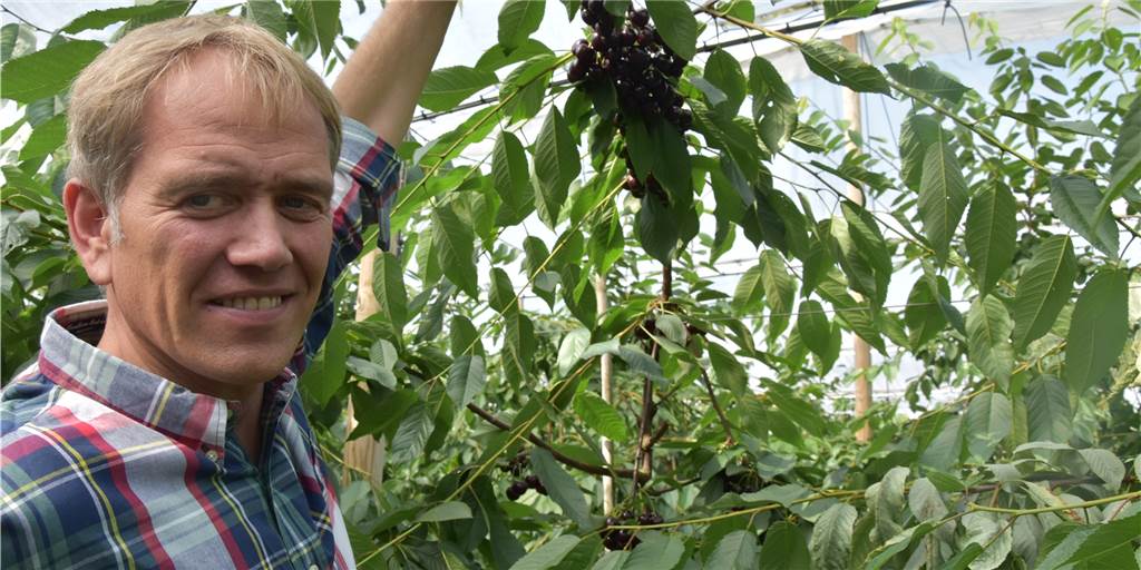Kirchhellener Landwirte sorgen sich wegen der kalten Temperaturen Eberhard Schmücker