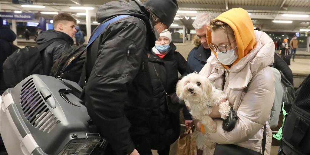 Haustiere aus der Ukraine dürfen nicht mit in die Flüchtlingsunterkunft Flüchtlinge aus der Ukraine stehen mit ihren Haustieren auf einem Bahnsteig.