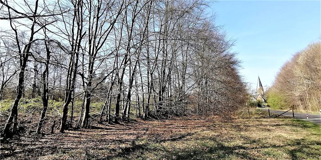 Dortmunder Naturschützer: Stadtteil musste schon zu viel Freiraum opfern Das geplante Wohnquartier im Dortmunder Westen stößt bei Anwohnern und Naturschützern auf großen Widerstand.