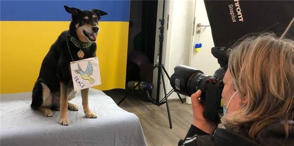 Hunde als Friedensbotschafter: Fotoaktion in Dorsten für Spendengelder Fotograf mit Hund vor ukrainischer Flagge.