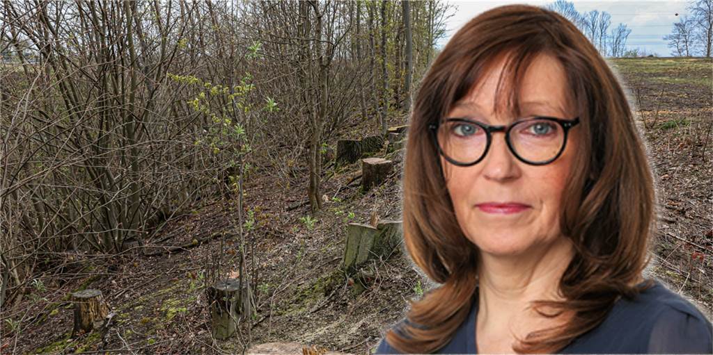 Kahlschlag ohne Genehmigung: Straßen.NRW verhöhnt Naturschützer Die Stadt Dortmund sollte den gesetzlichen Bußgeldrahmen für die illegale Abholzung voll ausschöpfen, meint Gaby Kolle.