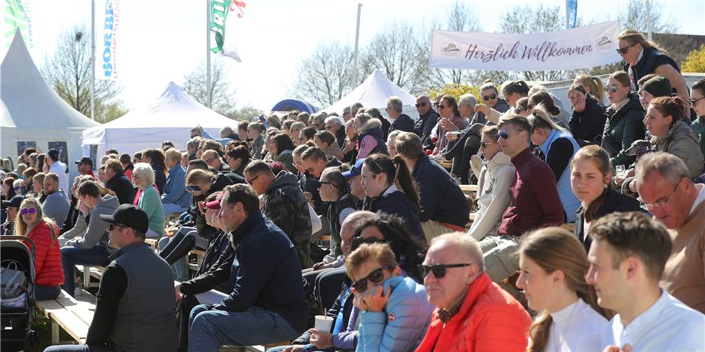Viele Bilder: So liefen die ersten S-Springen der Lenklarer Reitertage am Samstag Viele Bilder: So liefen die ersten S-Springen der Lenklarer Reitertage am Samstag