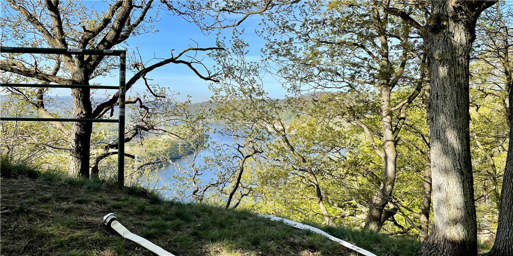 Waldbrand am Ruhrsteilhang: Feuerwehrschläuche liegen noch im Gelände Am Tag nach dem Brand am Klusenberg über dem Hengsteysee liegen die Feuerwehrschläuche noch im Gelände.