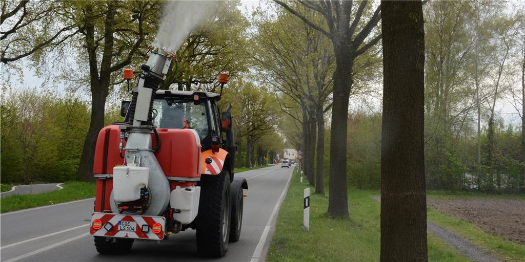Eichenprozessionsspinner: Der giftigen Raupe geht es jetzt an den Kragen Hier sollten Autofahrer Abstand halten: Die Turbinenspritze der Straßenmeisterei im Einsatz.