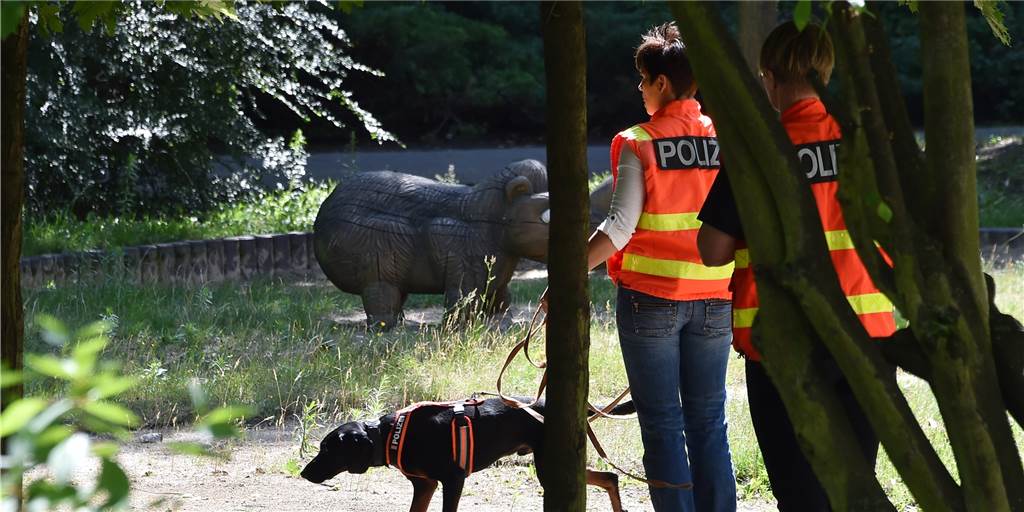 Ein Mantrailer-Hund der Polizei mit Hundeführer bei der Spurensuche