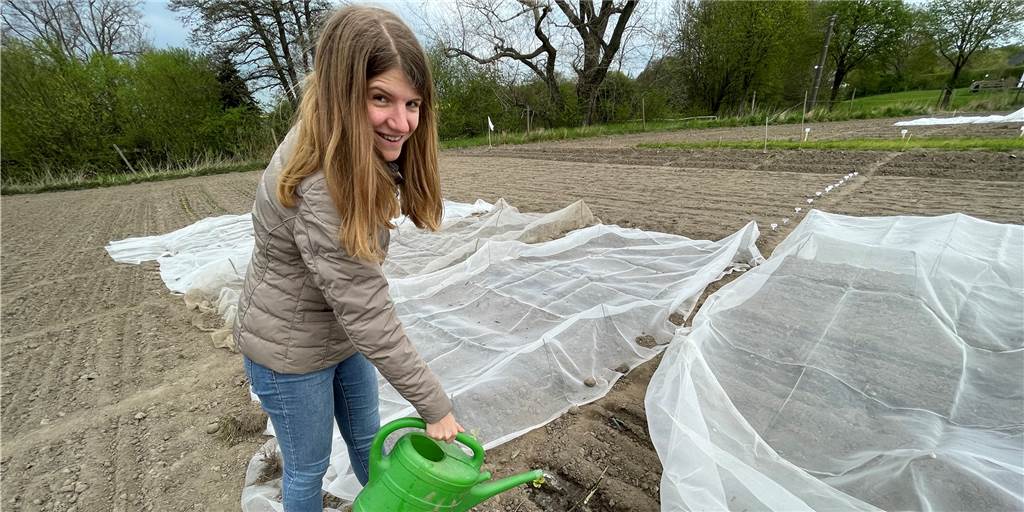 Selbst ernten und pflegen: Dortmunderin Jennifer im Mietgarten-Glück Selbst ernten und pflegen: Dortmunderin Jennifer im Mietgarten-Glück