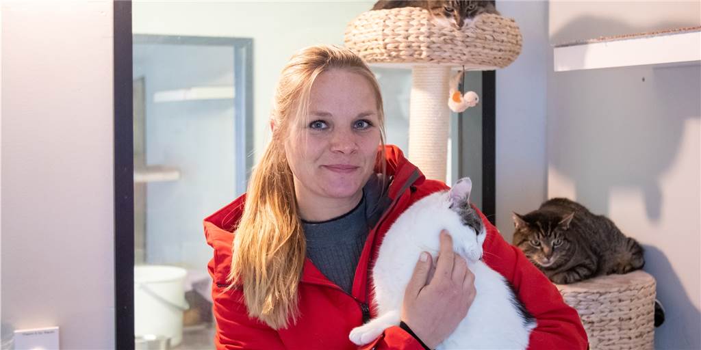 Tierheim Ahaus nimmt 21 Katzen und Hunde von Kriegsflüchtlingen auf Tierheimleiterin Julia Rehermann (hier ein Archivbild) hat drei Hunde und einige Katzen aufgenommen, die Geflüchtete aus der Ukraine mitgebracht haben.