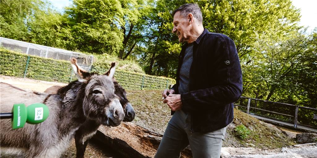 Vom Tierpark Recklinghausen nach Hollywood: Ralf Moeller zeigt Arnie die Esel Schauspieler Ralf Moeller mit zwei Eseln.