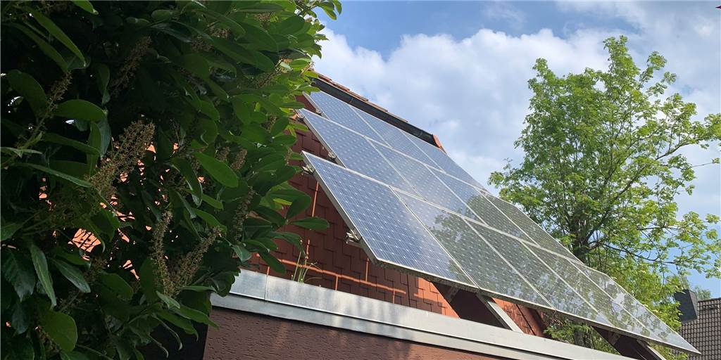 Straßenbäume stutzen für Solardächer: Stadt Dorsten lehnt das ab Baum vor einer Dachsolaranlage