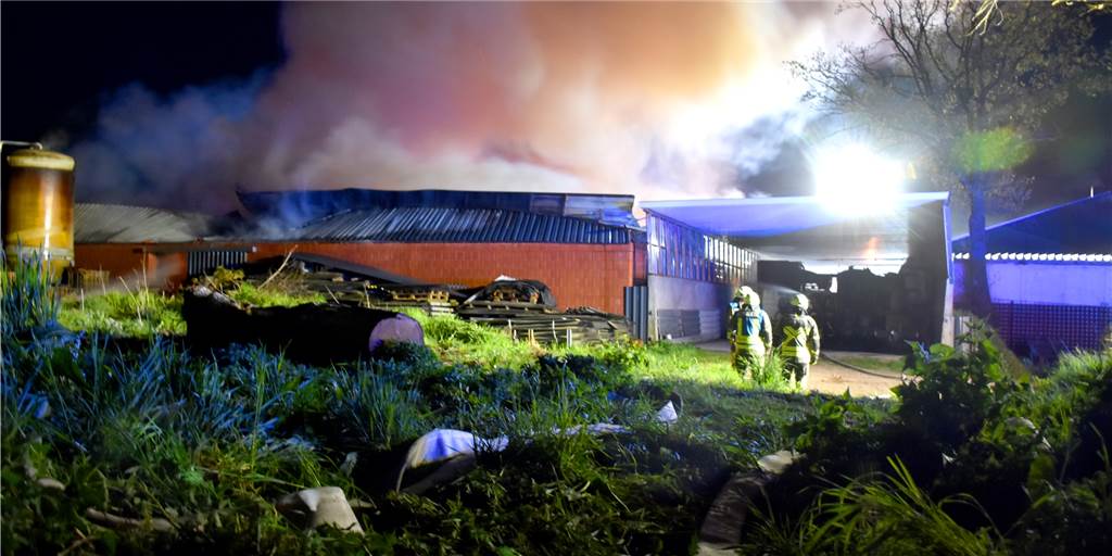 11.000 Tiere: Betrieb erfüllte Anforderungen – mehr Brandschutz gefordert Der zentral gelegene Stall auf dem Hof im Besslinghook war vor genau einer Woche in Flammen aufgegangen. Dabei waren 1700 Schweine verendet. Ein Tierschützer fordert jetzt, strengere Gesetze für den Brandschutz in Ställen.
