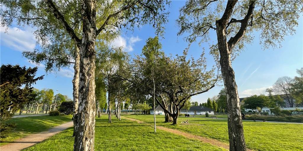 Schüsse im Hoeschpark? Ein Verletzter nach Streit in Dortmunds Nordstadt Schüsse im Hoeschpark? Ein Verletzter nach Streit in Dortmunds Nordstadt