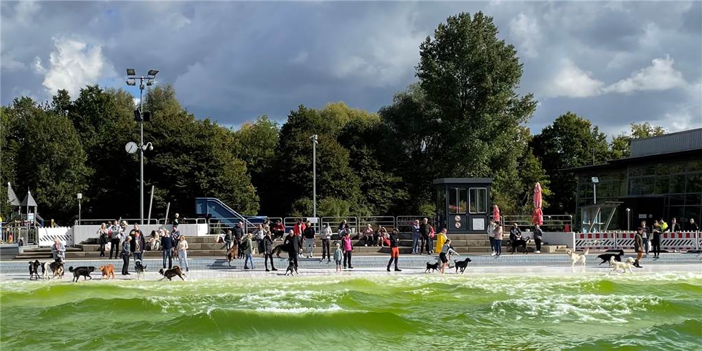 Viele Fotos: Vierbeinige, bellende Freunde zu Gast im Freibad Viele Fotos: Vierbeinige, bellende Freunde zu Gast im Freibad