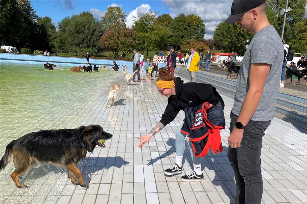 Viele Fotos: Vierbeinige, bellende Freunde zu Gast im Freibad Viele Fotos: Vierbeinige, bellende Freunde zu Gast im Freibad