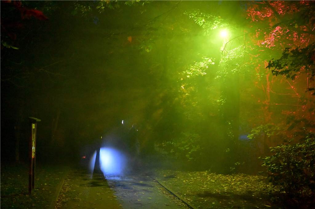 Süd-Park wird zum Grusel-Kabinett: Schaurige Überraschung im großen Teich