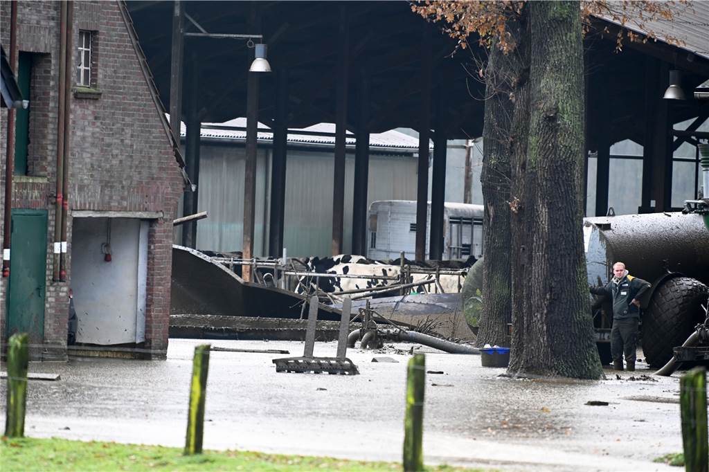 Unglück auf Bauernhof: Güllesilo geplatzt, Landwirt schwer verletzt