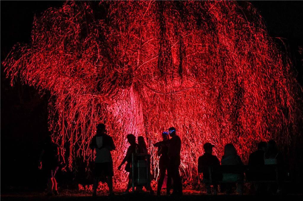 Lichterfest im Fredenbaumpark in Dortmund: Hier gibt es die besten Bilder