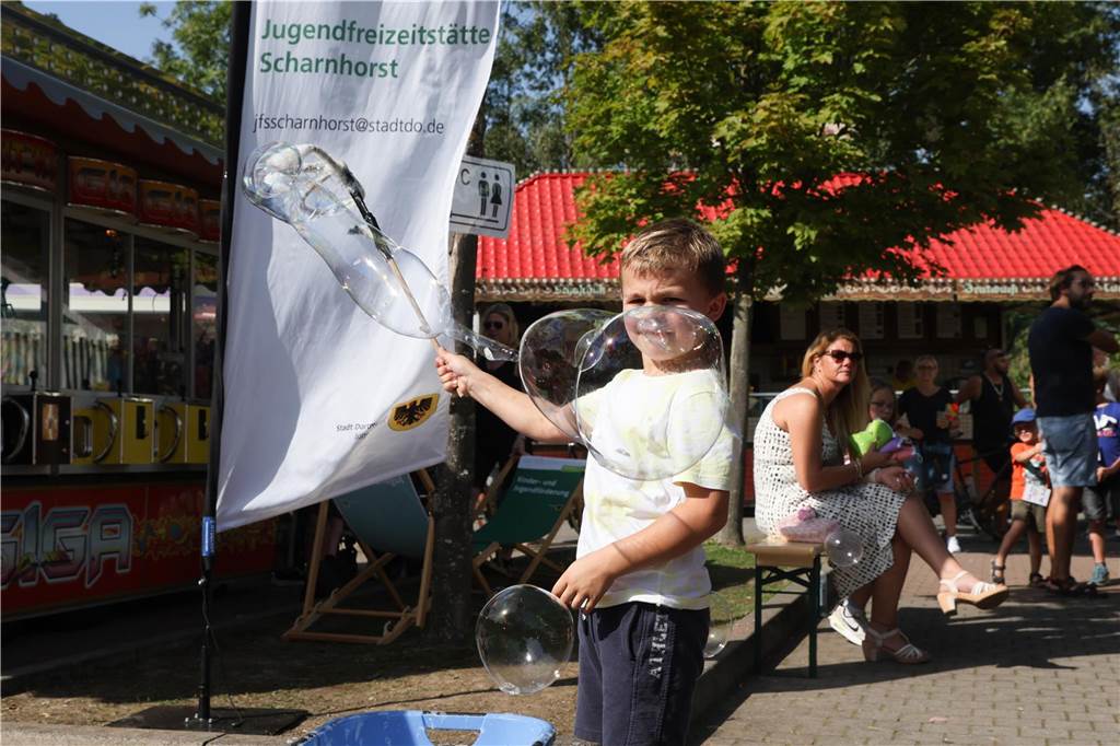 Bilder vom Husener Dorffest: Königspaar, Kirmes und der große Festumzug