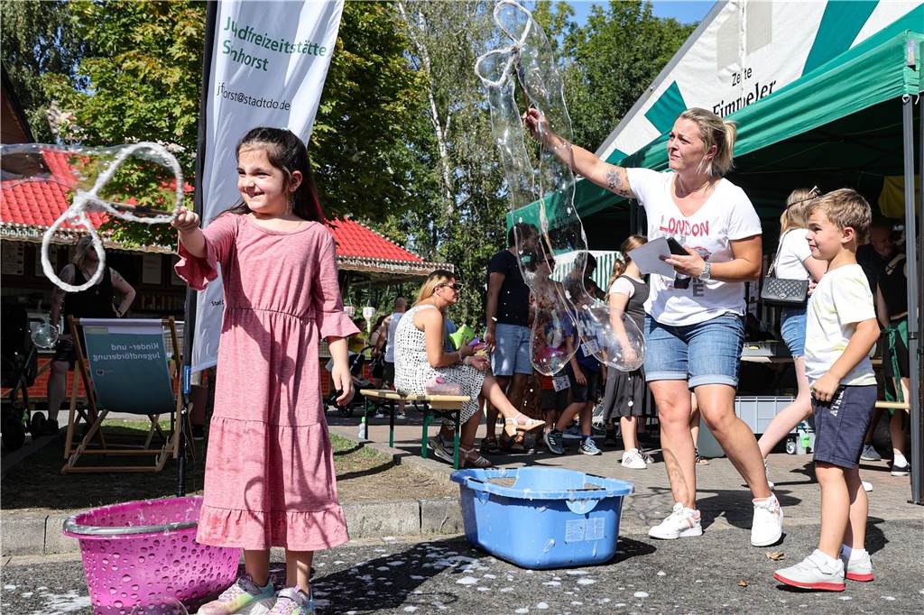 Bilder vom Husener Dorffest: Königspaar, Kirmes und der große Festumzug