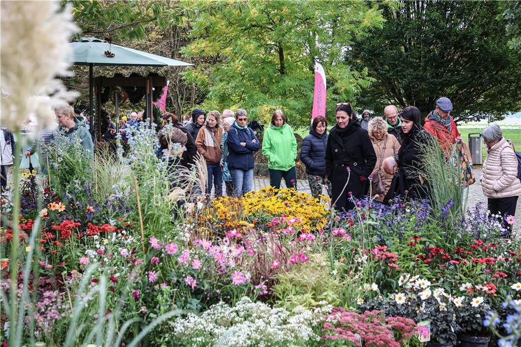 Fotos vom Herbstmarkt 2023 im Dortmunder Westfalenpark.