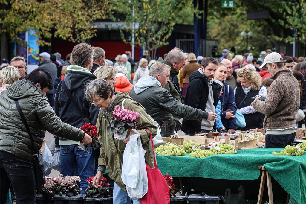 Fotos vom Herbstmarkt 2023 im Dortmunder Westfalenpark.