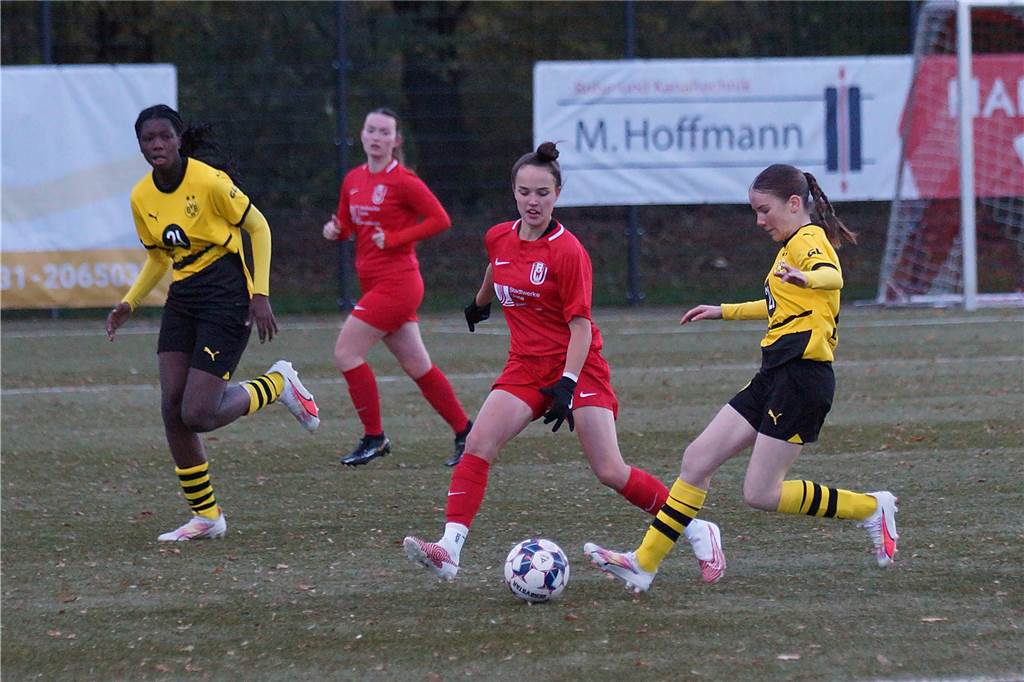 Von der Fußball-Kreisliga D bis zur Handball-Oberliga