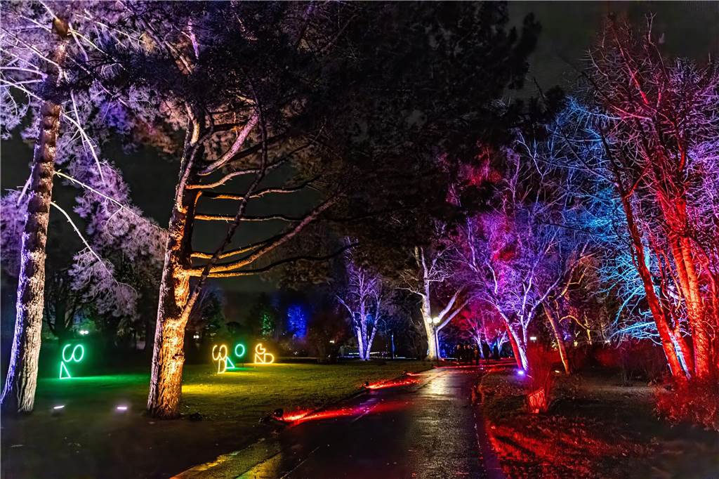 Winterleuchten 2023 im Westfalenpark: Die schönsten Fotos vom Lichtspektakel