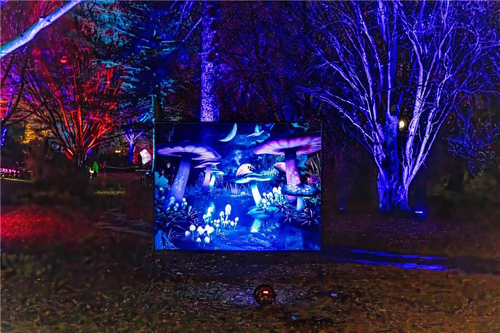 Winterleuchten 2023 im Westfalenpark: Die schönsten Fotos vom Lichtspektakel
