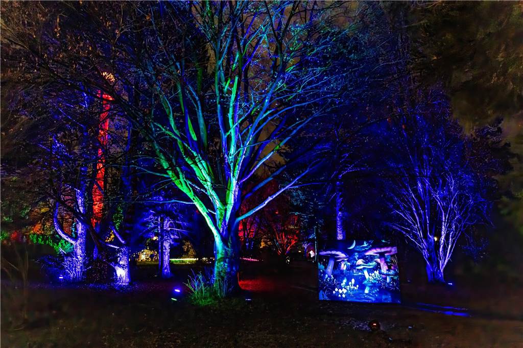 Winterleuchten 2023 im Westfalenpark: Die schönsten Fotos vom Lichtspektakel